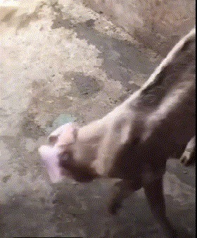 |搞笑GIF:冬天到了,地球有点冷,我给他烧点柴火