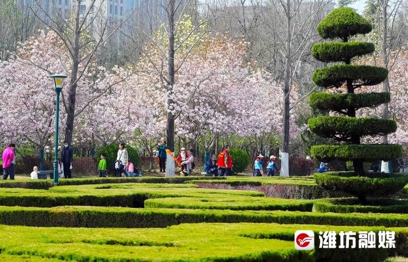 3月底向暖而行，4月初天气再“反转”