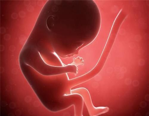 胎儿|胎儿在妈妈肚子里有“两怕”,孕早中晚期各不同,孕妈要分别注意
