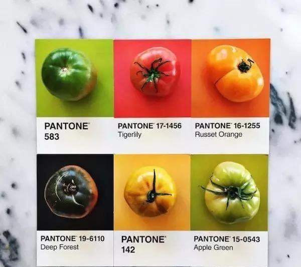 设计师|设计师是好色之徒吧不然怎么能拍出这组创意十足的食物色卡