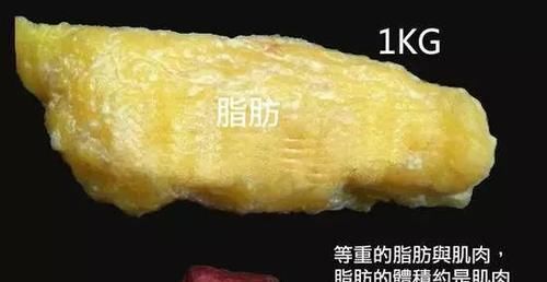 晚餐|开合跳、深蹲这4个方法,坚持做减掉赘肉很轻松,别再乱尝试了