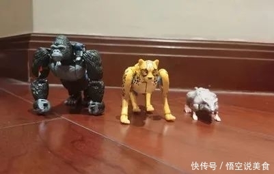 孩之宝良心作——王国猩猩（希望可以来个透明限定）