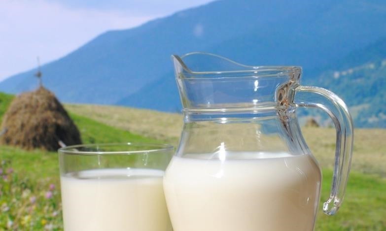 豆制品|6岁前是脑发育黄金期,常给孩子吃这5种食物,或有助孩子提升脑力