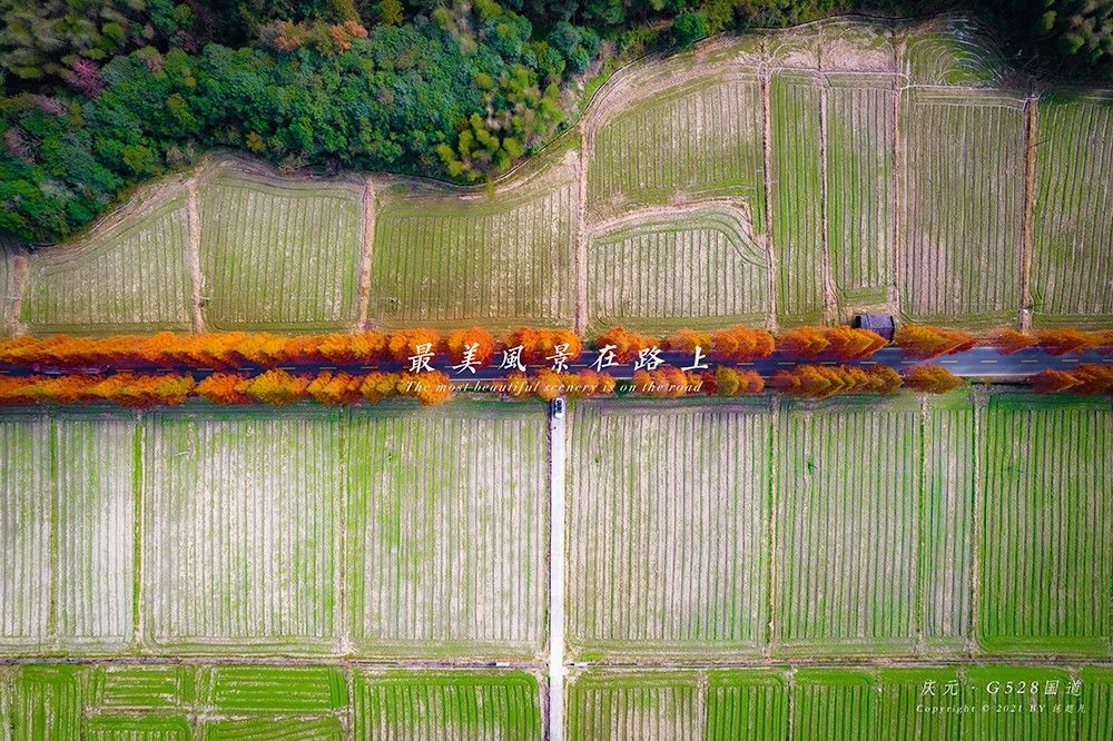 国道|庆元藏了一条绝美国道，承包一路醉美风景