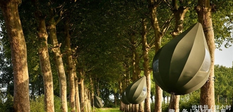 这些泪滴形帐篷可以将您挂在树上露营!