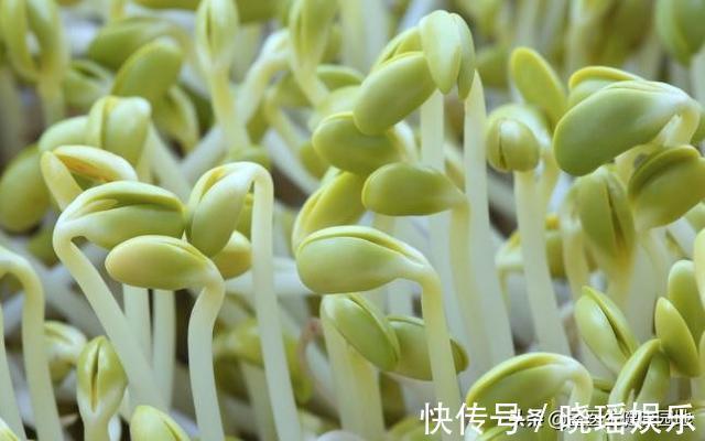 高嘌呤食物|高血压、高血脂、高血糖是我们熟悉的“三高”,第四高悄然来袭!
