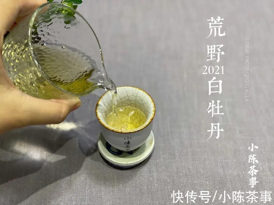 含水量$影响白茶香气的3个原因，但凡出现1个，这款茶就与落水香无缘了