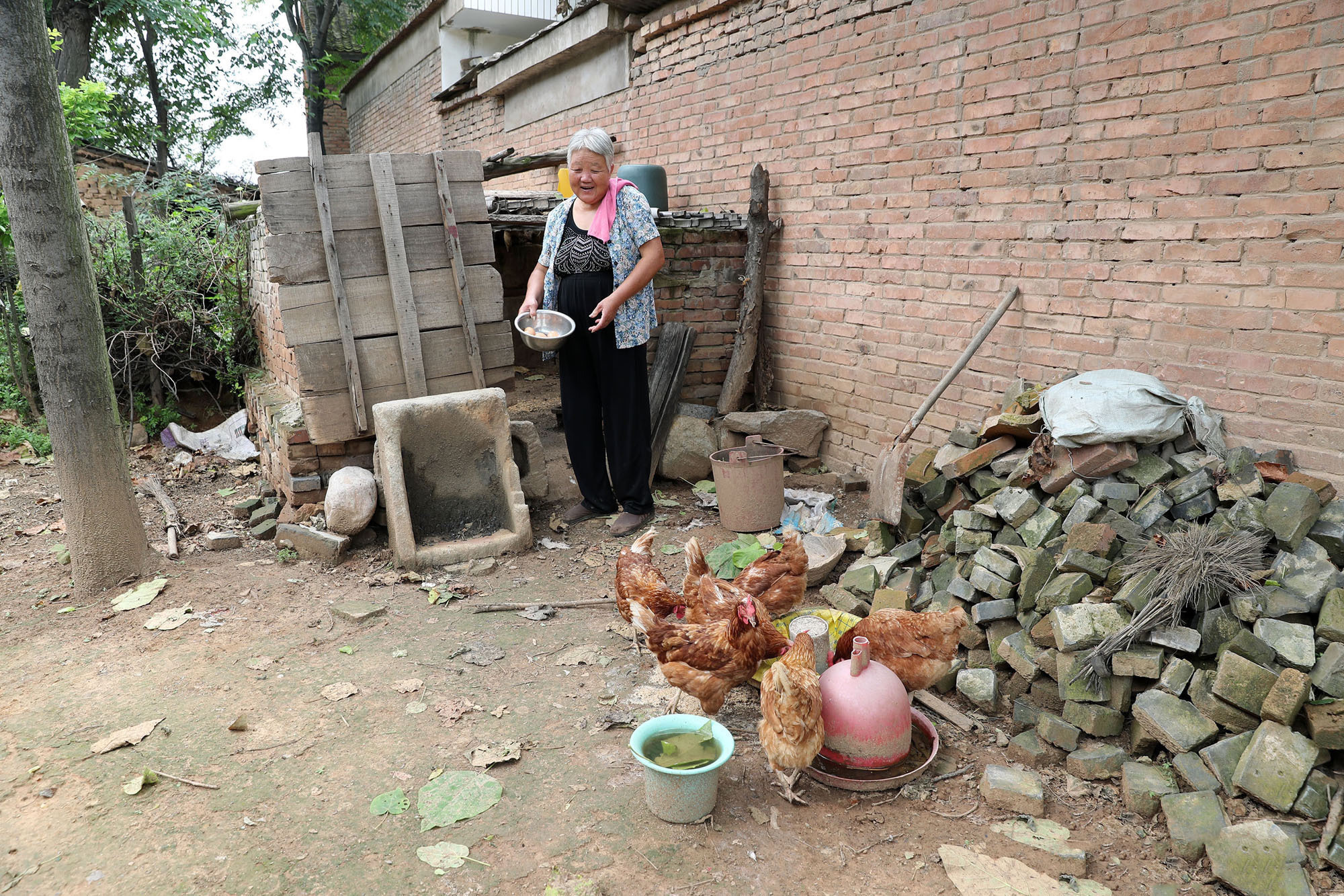 大妈|6旬大娘用12枚土鸡蛋招待山外来客,特殊的待客之道让人感动