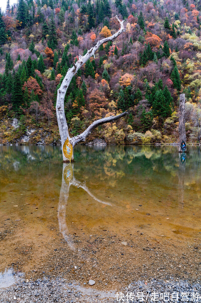 光雾山|10月这12个颜值高地，已补好了妆，将向世人“卖弄”最美一面