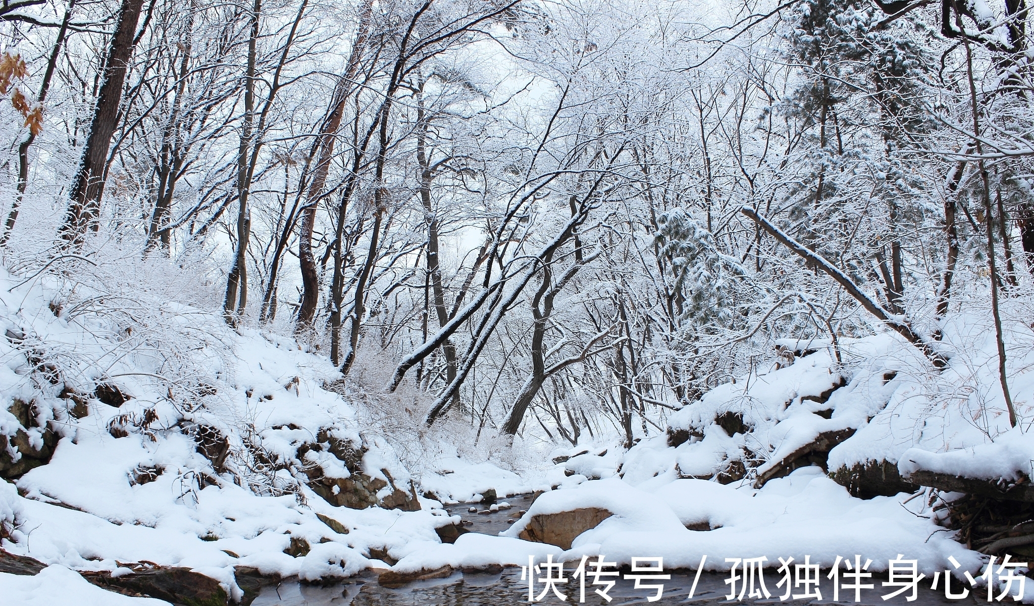 溪云#来自苦吟诗人的一首诗,把冬天写成了一幅画,其中佳句真不少