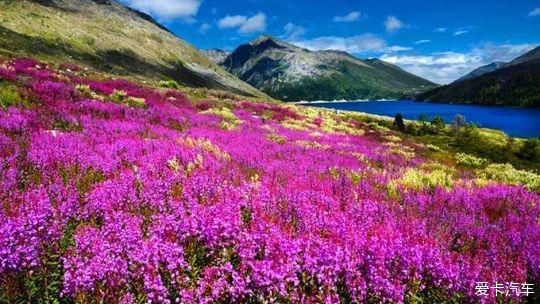 中年|木格措风景区