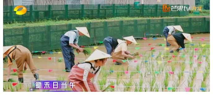 節(jié)目|《鮮廚100》第二季告訴你，美食綜藝還能怎么“玩”