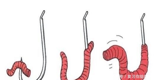 老钓手教你选择蚯蚓饵应随机应变