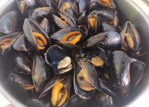 3月海虹正肥美，2块钱一斤，做法简单鲜嫩营养，比肉都好吃，真鲜