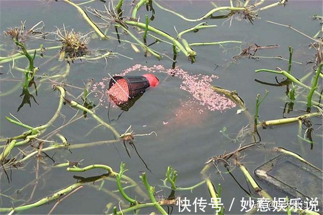 钓点|冬季钓鱼,不要一到水边就下竿,牢记这4个法则,天再冷都能爆护