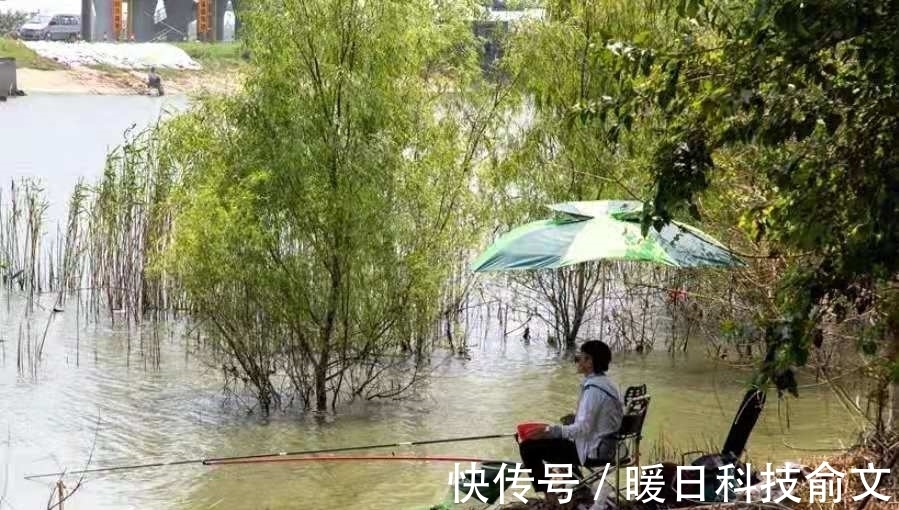 垂钓|难怪草鱼上了一尾又一尾，殊不知这钓法才是连竿关键，不信就试试