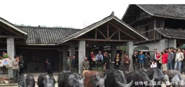  开心|说非遗之湖湘篇—他们被扮成牛供人观赏，却还很开心