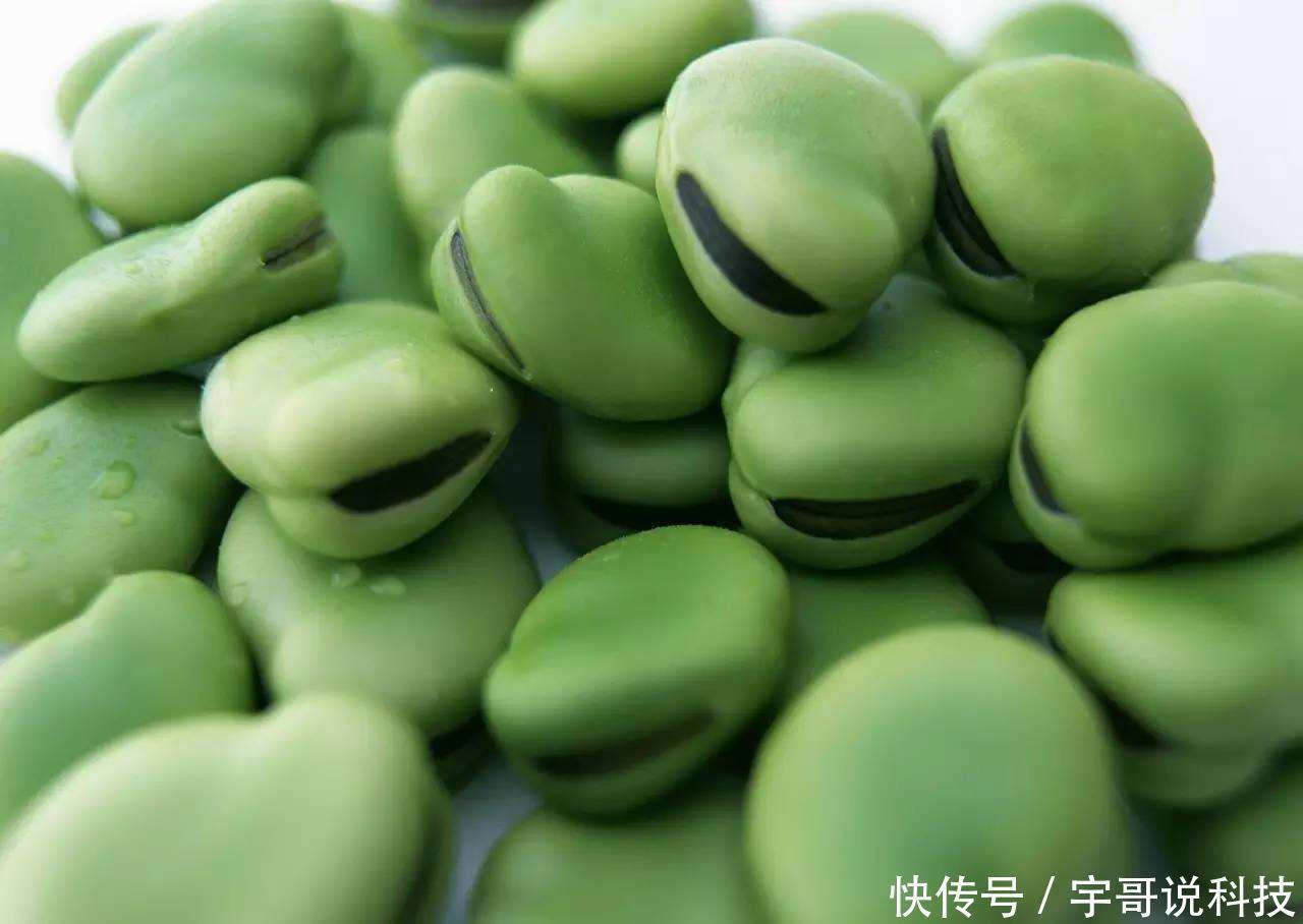  痴呆|人老最怕变痴呆？多吃这3物就能简单预防，到80岁头脑依旧灵活！