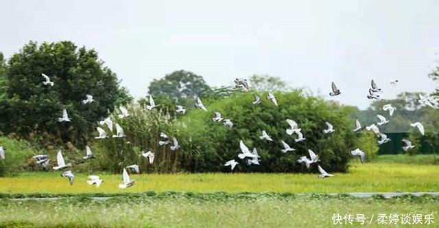 a5880|中国世界文化遗产年会发布“良渚宣言”