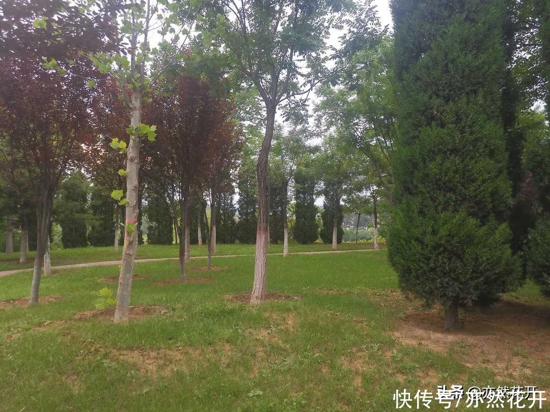 人物形象|如何把人物写活，写真实