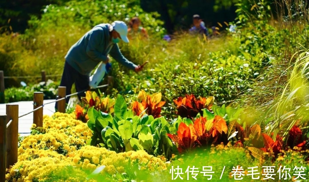 植物展&橙黄橘绿时，与您共相约