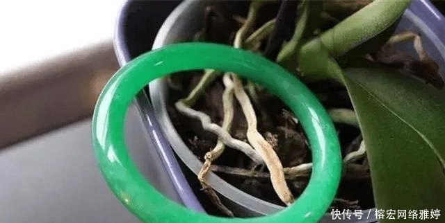 首饰|千万别这么戴翡翠首饰,不仅会毁了翡翠,更会毁了你自己!