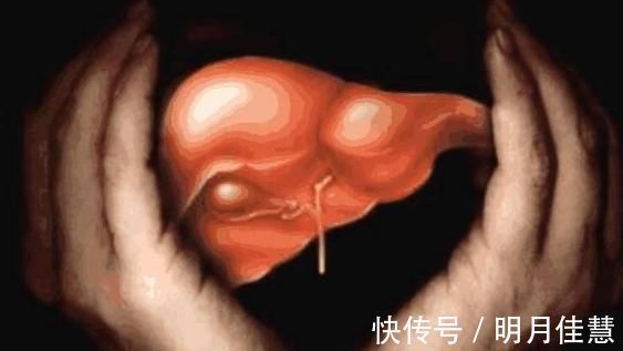 肝癌|大自然的“强肝药”被找到,坚持吃7天,肝硬化、肝癌不登门