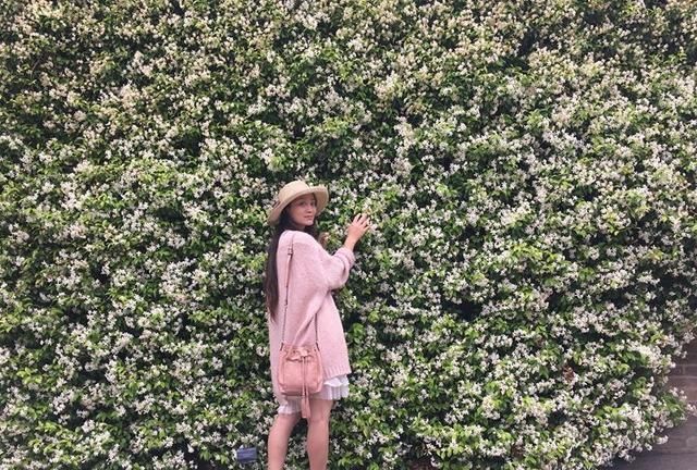 此花“天下第一香”,一年花开288天,比桂花香10倍,比绿萝好养