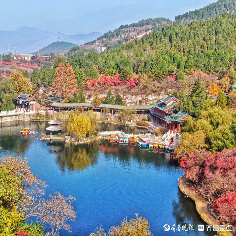 齐鲁壹点|层林尽染满山秋！壹点情报员带你俯瞰济南红叶谷，赏金秋醉美时刻