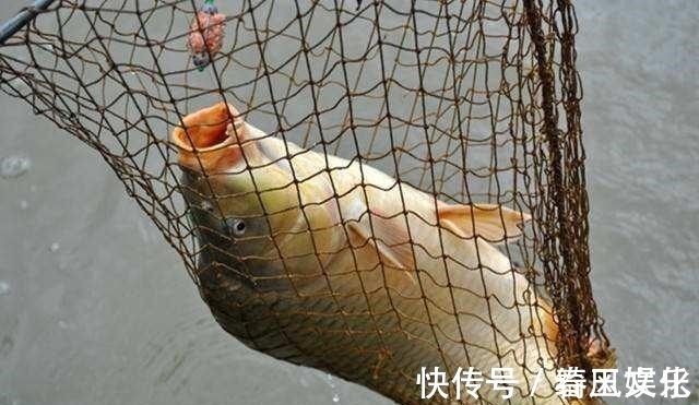 长子|钓鱼不要总认为子线长短无所谓,它的作用大着呢!