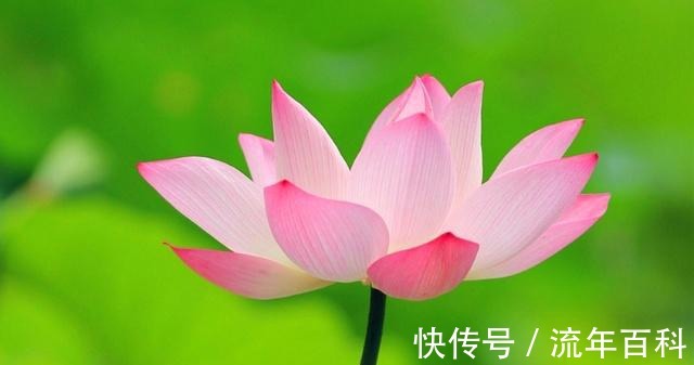 曾国藩！一个家庭，谨记四句话，福气自然来，家族兴盛不衰！