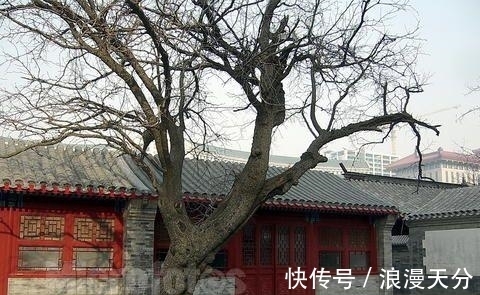 英宗|于谦：500年前拯救北京城的男人，如今祠堂门票0元无人来拜