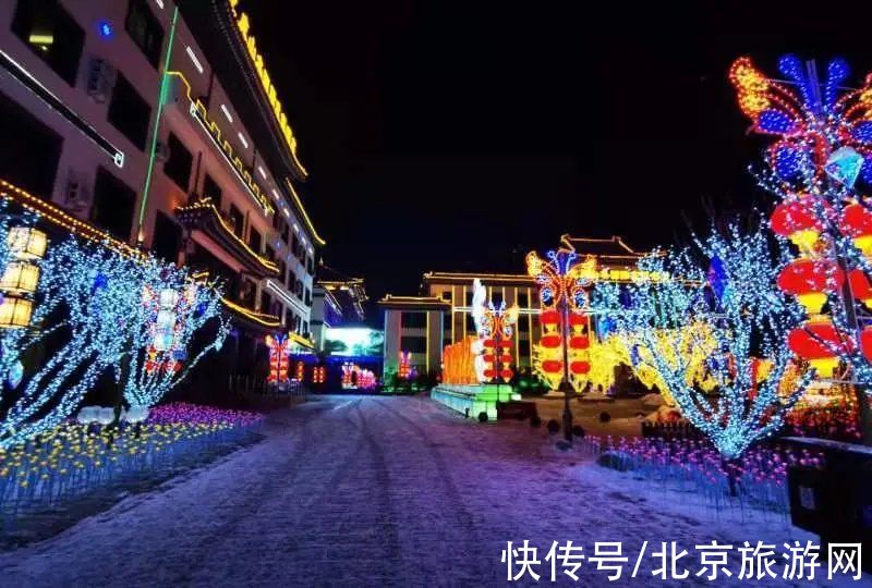 一夜之间|来啦！多图带你看紫禁城瑞雪，还有卖萌的熊猫、嬉戏的老虎~