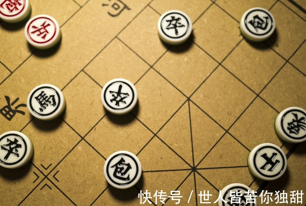 食肉动物|10条新鲜好玩的冷门小知识,你知道多少呢?