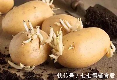 怀孕期间|有几种蔬菜或不适合孕期食用,备孕期间不妨提前了解下