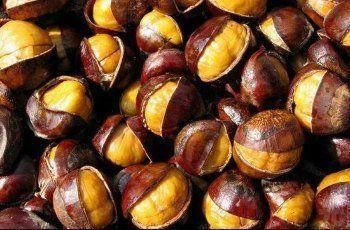 医生|坚持每天吃坚果，就能降血脂？医生告诉你答案，看完涨知识了