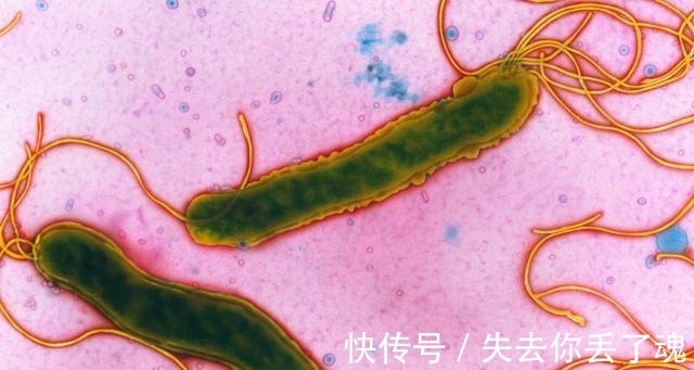 火麻油|江苏女子因一坛腌菜引发癌症, 家里有这种腌菜的赶紧丢掉吧!