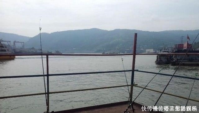 江里钓了条“黄颡鱼”,有人却说它是“石扁头”,你见过这种鱼吗