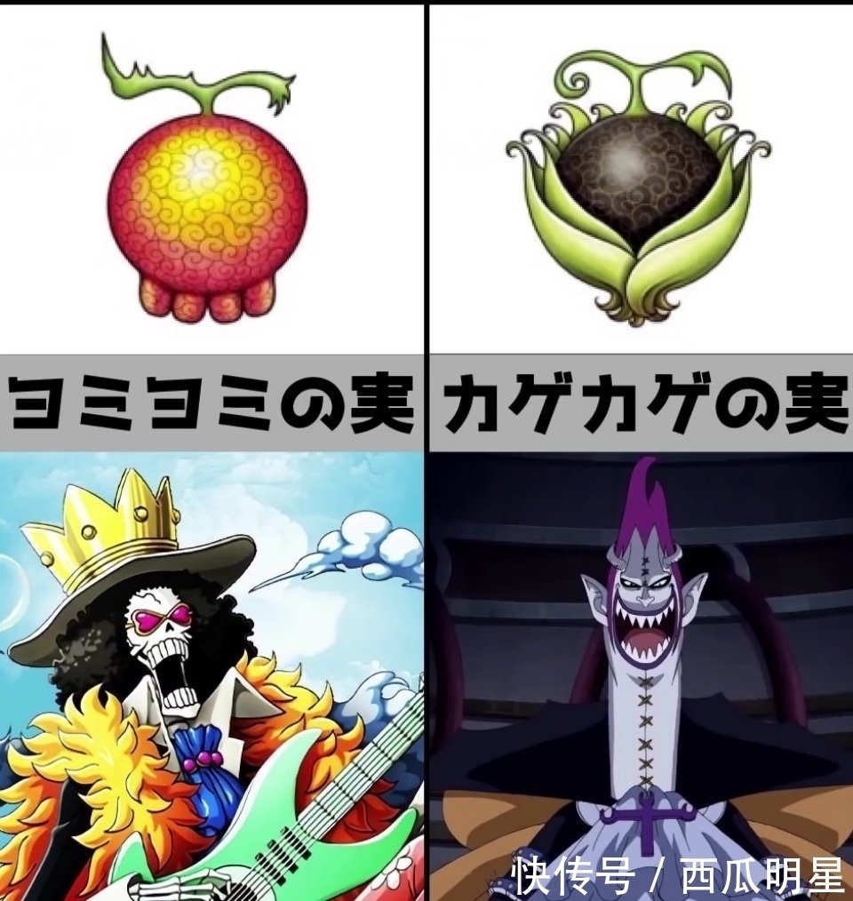 果实|《海贼王》恶魔果实,你最想拥有哪种?花花果实最漂亮