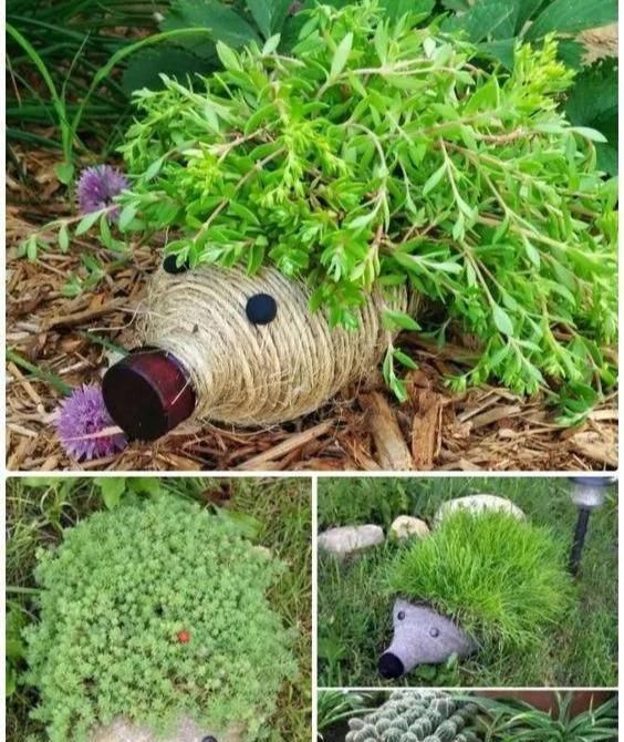 植物|没地种花种菜,没时间浇水几个塑料瓶就能解决,DIY变废为宝