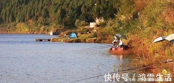 野钓钓位不要相邻太近,孤单一些更加容易爆护