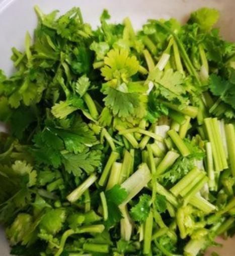 存放香菜,不要再放冰箱,20年大厨教你,不管多久都不坏