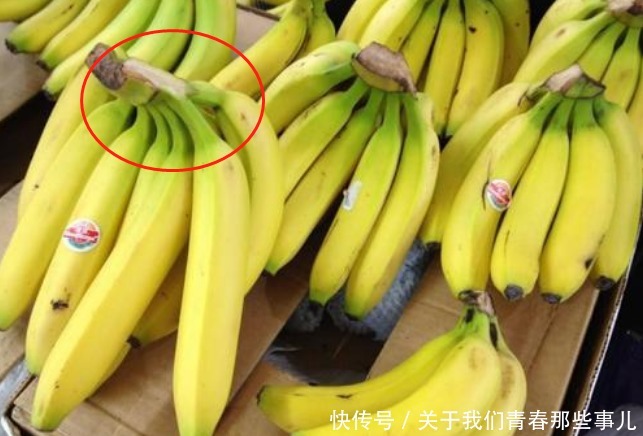 水果|买香蕉,怎么看打没打激素?果农:看这个地方,一看便知,不会错