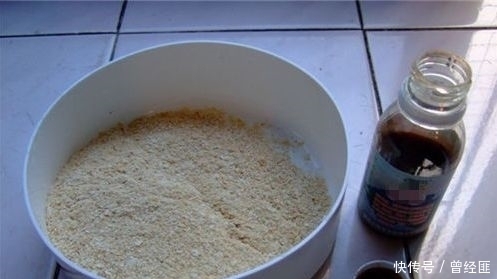 小棒|初夏钓鲫鱼就用这种饵料，没想到，鱼获轻松翻三倍