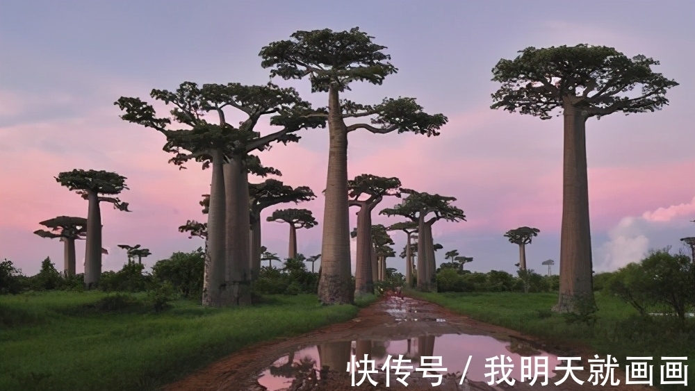 18条奇葩冷知识,课本上不一定找得到,但都是真实存在的