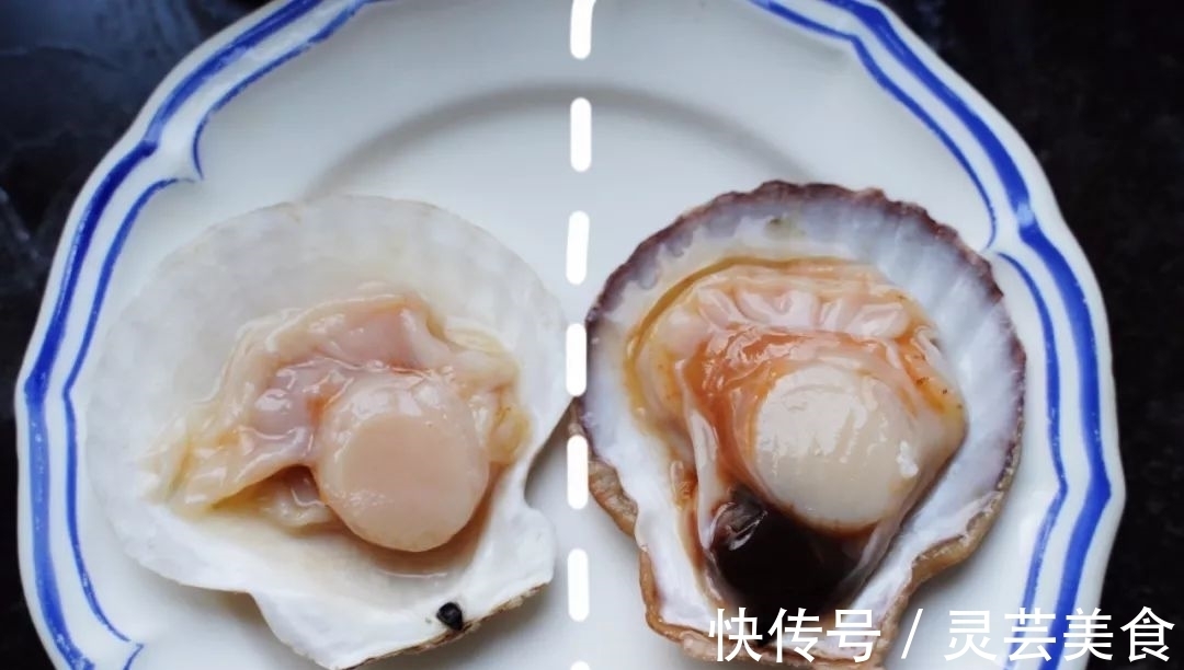 浓郁|吃8个扇贝要配2头蒜，这样的蒜蓉粉丝蒸扇贝味最正！蒜香超浓郁！