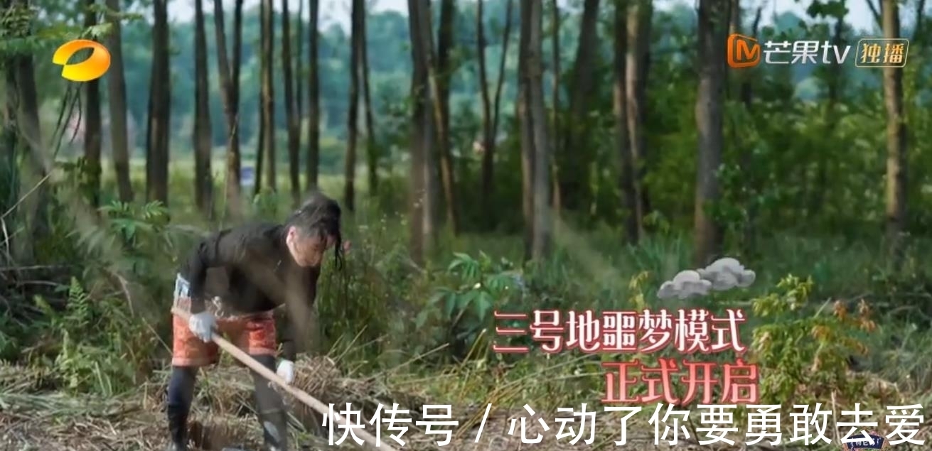 向往的生活5|《向往的生活5》集體勞動種樹，黃雅莉成功出圈，張藝興廣受好評