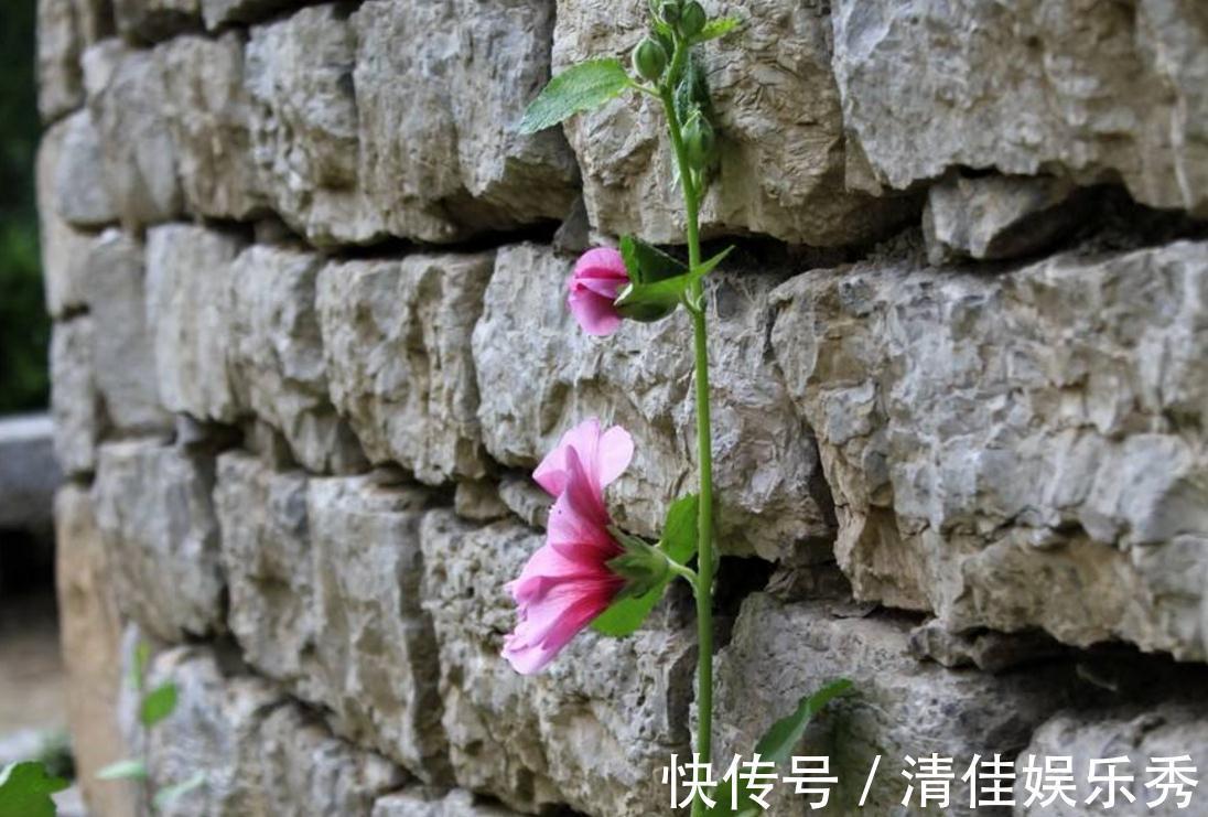 在乎你!做人要懂得:即使关系再好,这四件事也不要告诉别人,原因很现实