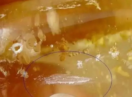 印尼柯巴脂|柯巴脂,和琥珀蜜蜡到底有多像?