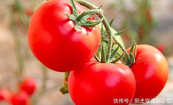 冬天|冬天多吃此種食物,能清理血管垃圾,讓血栓遠離你